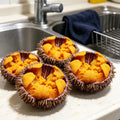 Fresh Purple Sea Urchin Roe
